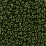 Rocalla Miyuki 11/0 Opaque avocado green 11-501