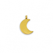 Colgantes Acero Inox La Luna Dorado