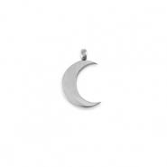 Colgantes Acero Inox La Luna Plateado