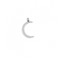 Colgantes Acero Inox La Luna Plateado