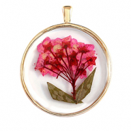 Colgantes con flores secas Dorado-rosa verde