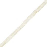 Abalorios conchas tubo Blanco