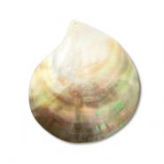 Colgantes concha de madreperla Blanco (color natural)-marr&oacute;n claro-marr&oacute;n oscuro