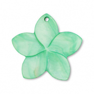 Colgante conchas flor Verde