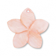 Colgante conchas flor Rosa melocotón