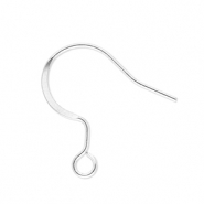 Fornituras Acero Inox pendientes de gancho con anilla Plateado