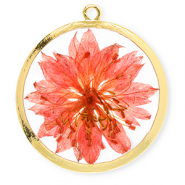 Colgantes con flores secas 34mm Dorado-rojo coral vivo