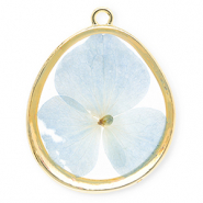 Colgantes con flores secas con forma de huevo Dorado-azul claro
