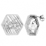 Fornituras Acero Inox pendientes hexágono con anilla Plateado