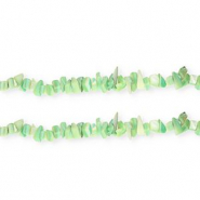 Abalorios conchas chips Verde multicolor