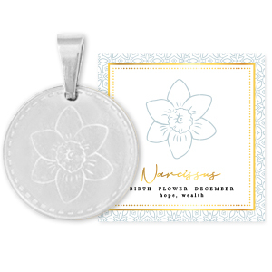 Mix & Match colgantes Acero Inox 15mm Flor de nacimiento Diciembre-Narciso Plateado