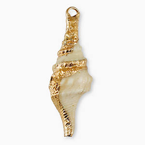 Colgantes concha especial Bocina Beige-dorado