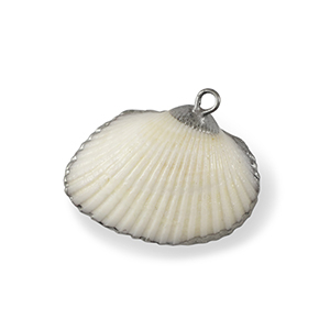 Colgantes concha especial Concha de venera Blanco-plateado