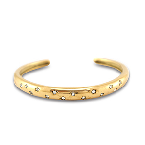 Pulseras Acero Inox bangle Dorado