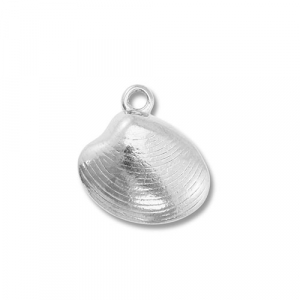 Colgantes Acero Inox conchas Plateado