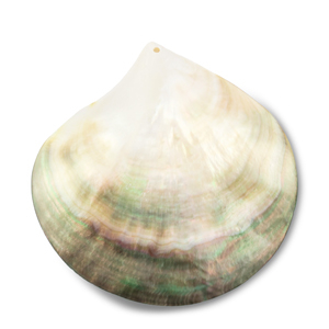 Colgantes concha de madreperla Blanco (color natural)-marr&oacute;n claro-marr&oacute;n oscuro