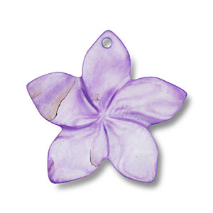 Colgante conchas flor P&uacute;rpura