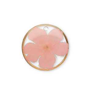 Colgantes con flores secas Dorado-rosa claro