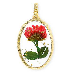 Colgantes con flores secas &oacute;valo Dorado-rojo-verde