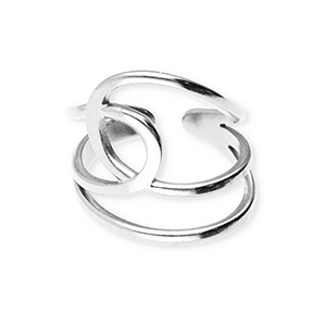 Anillos Acero Inox Plateado
