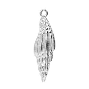Colgantes Acero Inox concha Plateado