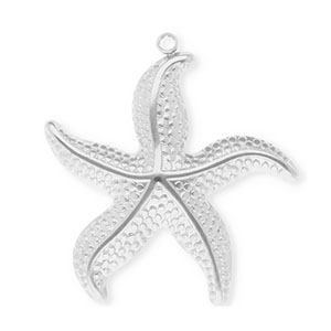 Colgantes Acero Inox estrella de mar Plateado