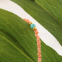 As&iacute; se hacen los fant&aacute;sticos collares con rocallas: